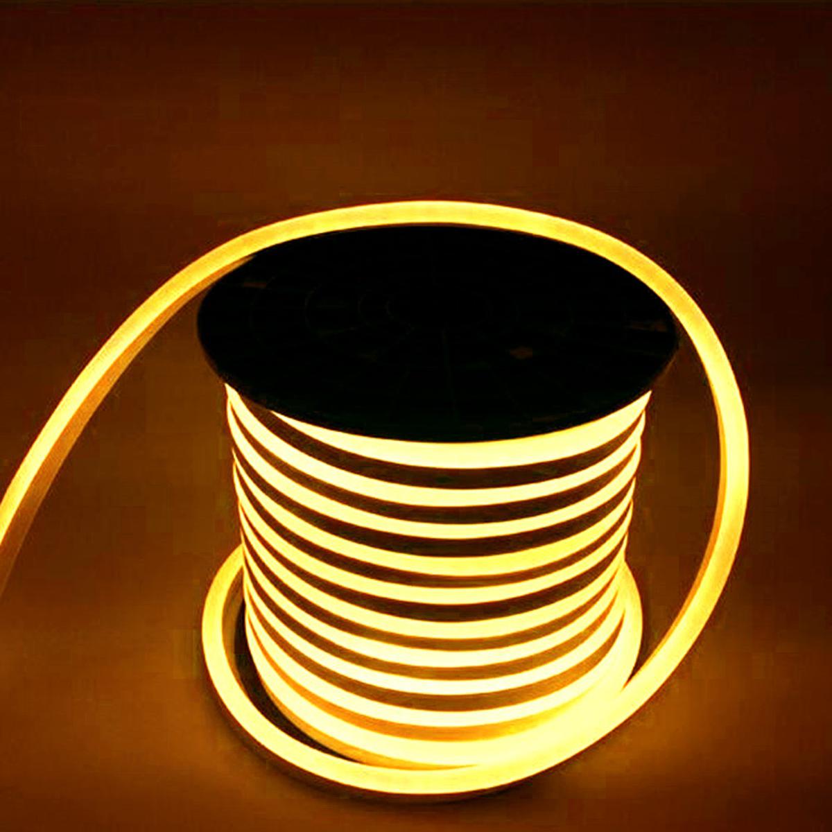 Neon light 5M length